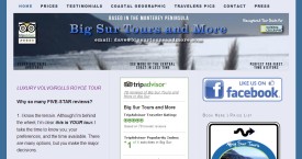 bigsurrs